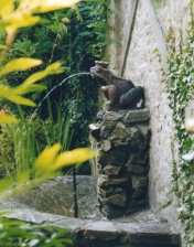 Frosch