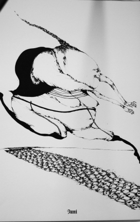 Foto1