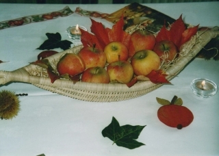 Foto5