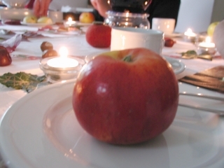 Foto12