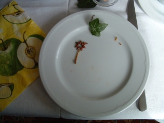 Foto14