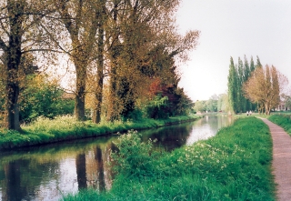 Foto1