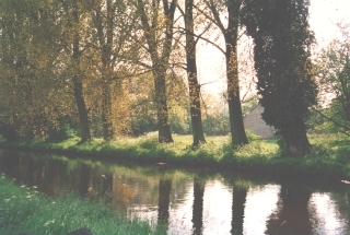 Foto3
