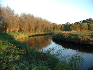 Foto4