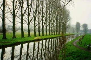 Foto5