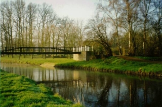 Foto6