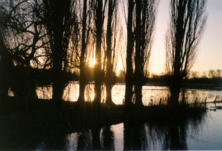 Foto8