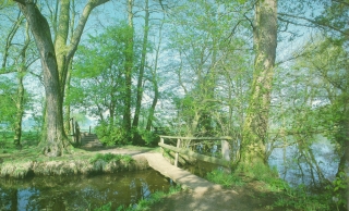 Foto9