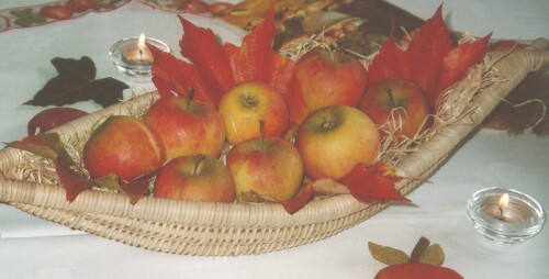 Schale mit &Auml;pfeln