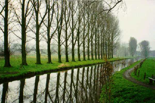 FH Fluss-Landschaft mit Pappeln ganz in der N&auml;he des FlachsHauSes