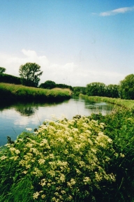 Die Niers